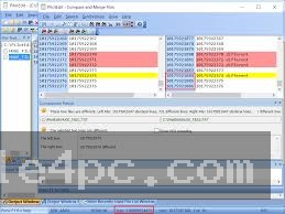 The main PilotEdit Pro interface displaying a multi-tab workspace with syntax-highlighted code and file browsing panels.