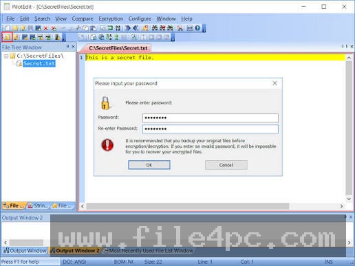 The Hexadecimal Editing view demonstrating byte-level raw file inspection and column editing parameters.